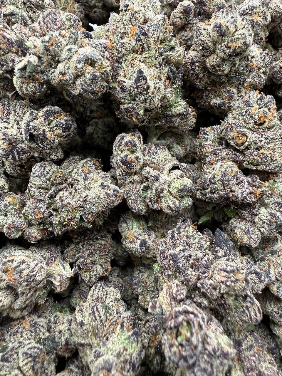 BB Candy bud — macro shot showing trichomes and structure