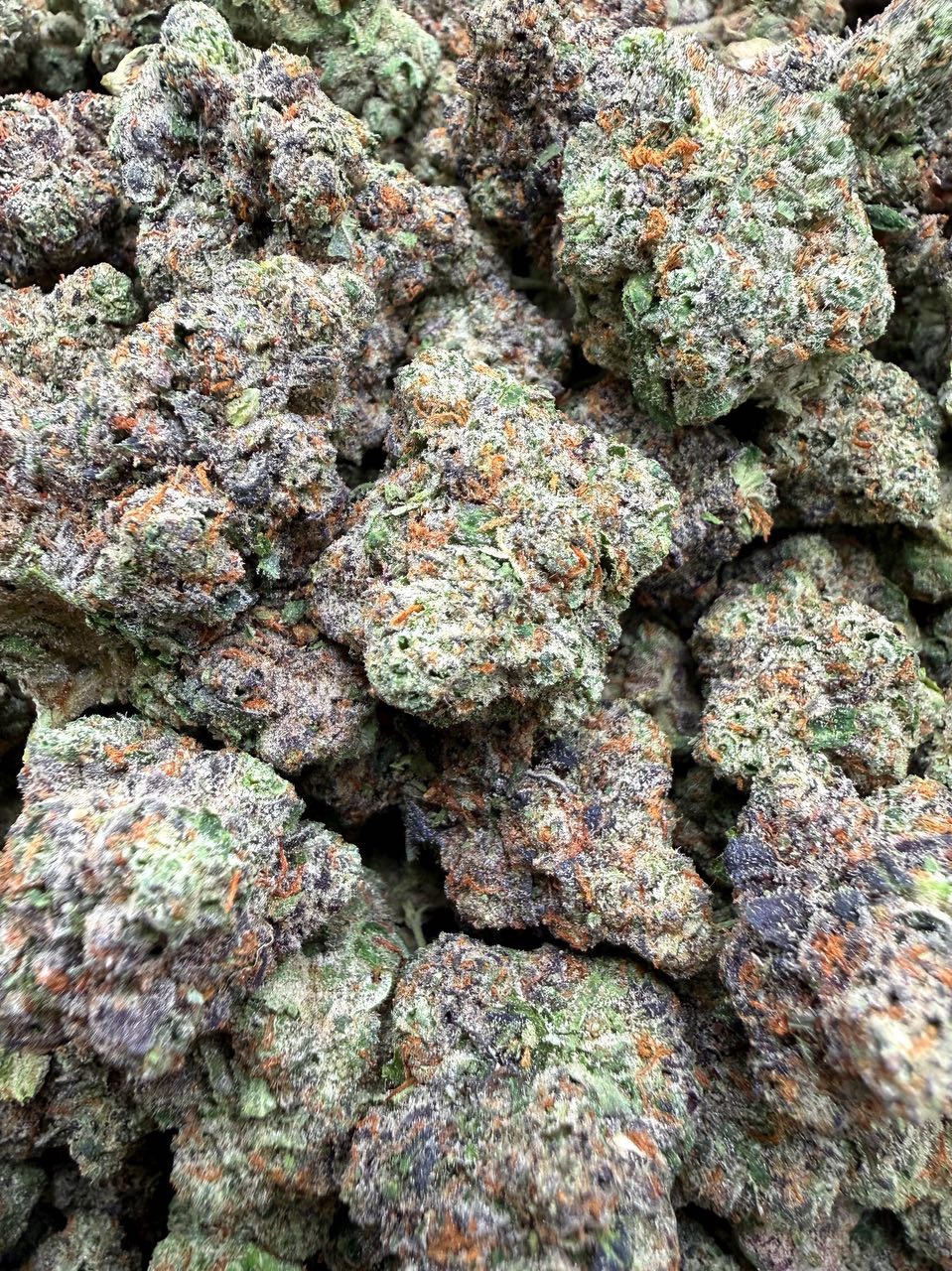 Berry Blast bud — macro shot showing trichomes and structure