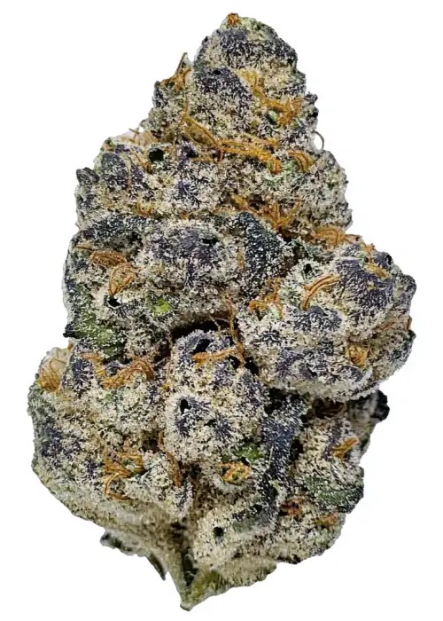 Blue Nerds LG bud — macro shot showing trichomes and structure