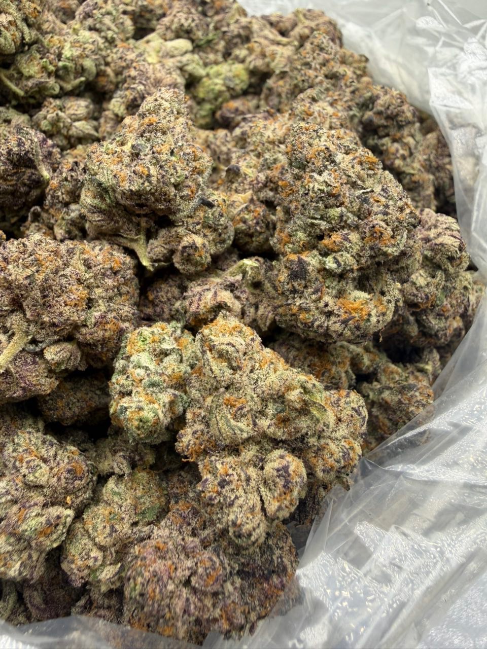Gruntz (MD + SM) bud — macro shot showing trichomes and structure