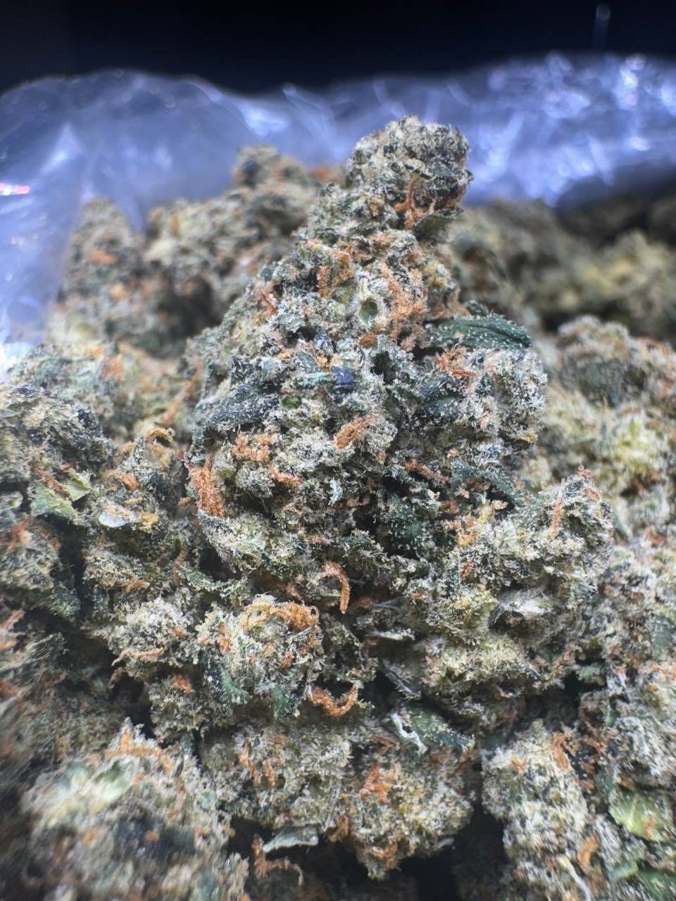 Jack Herer bud — macro shot showing trichomes and structure