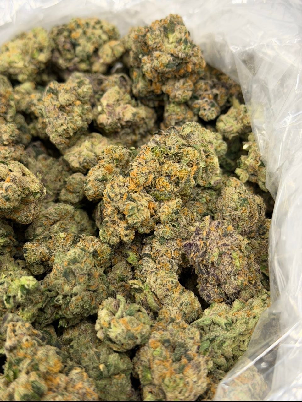 Platinum Bubba Kush bud — macro shot showing trichomes and structure