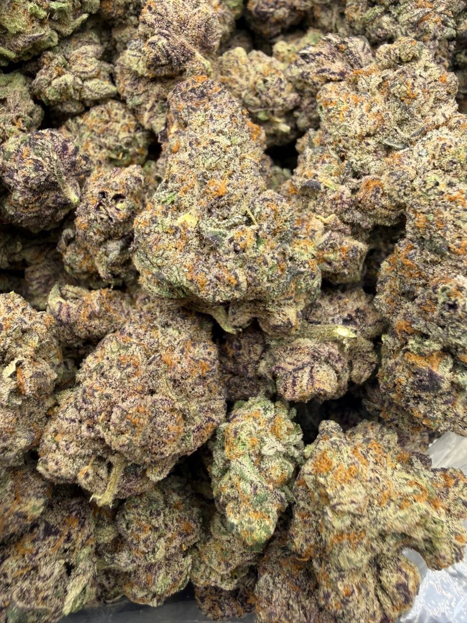 Toad Venom bud — macro shot showing trichomes and structure